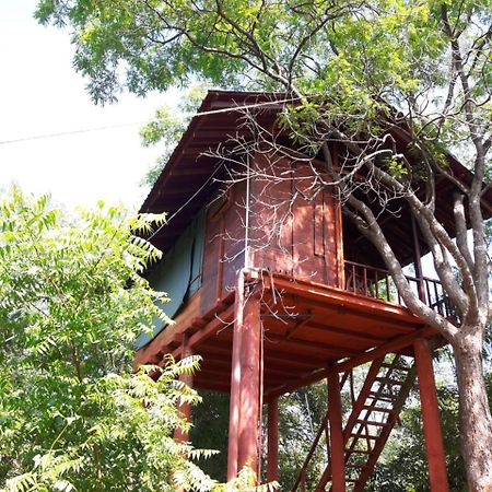 Dambulla Tree House Villa Luaran gambar