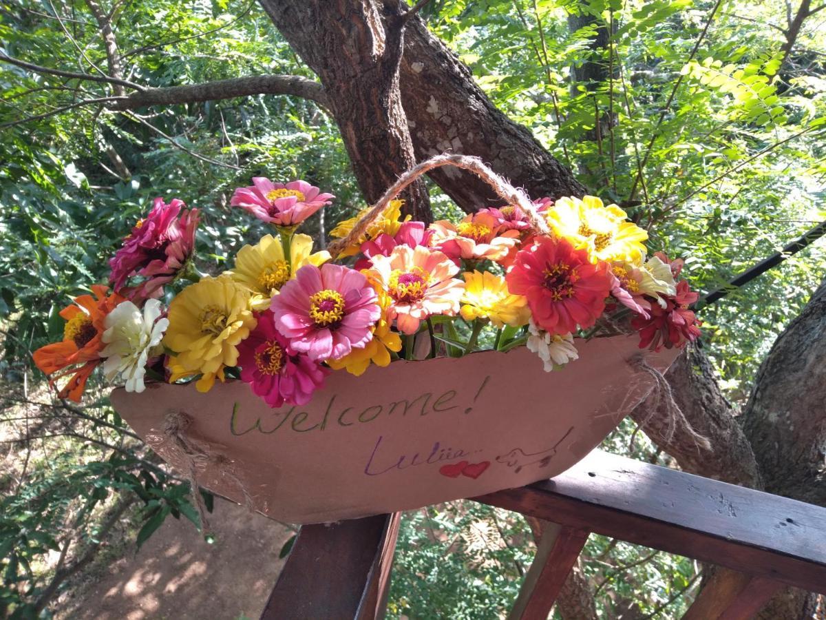 Dambulla Tree House Villa Luaran gambar