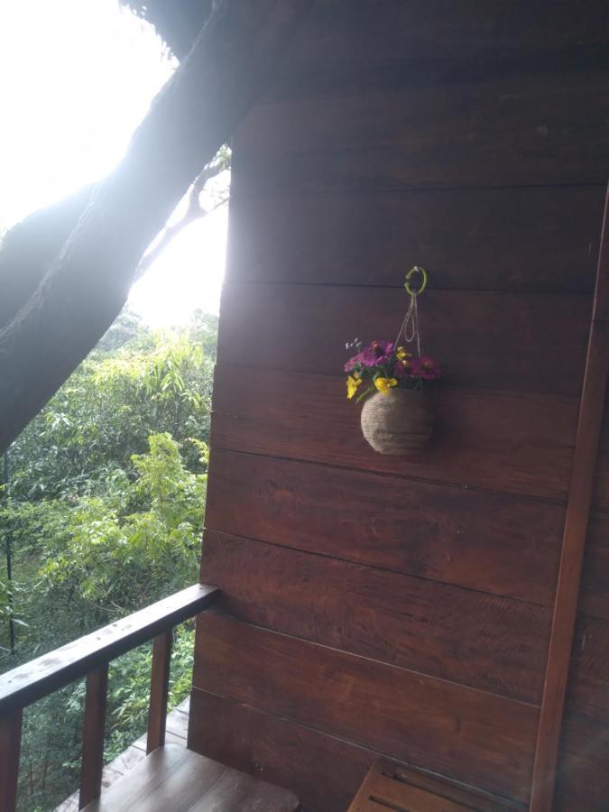 Dambulla Tree House Villa Luaran gambar