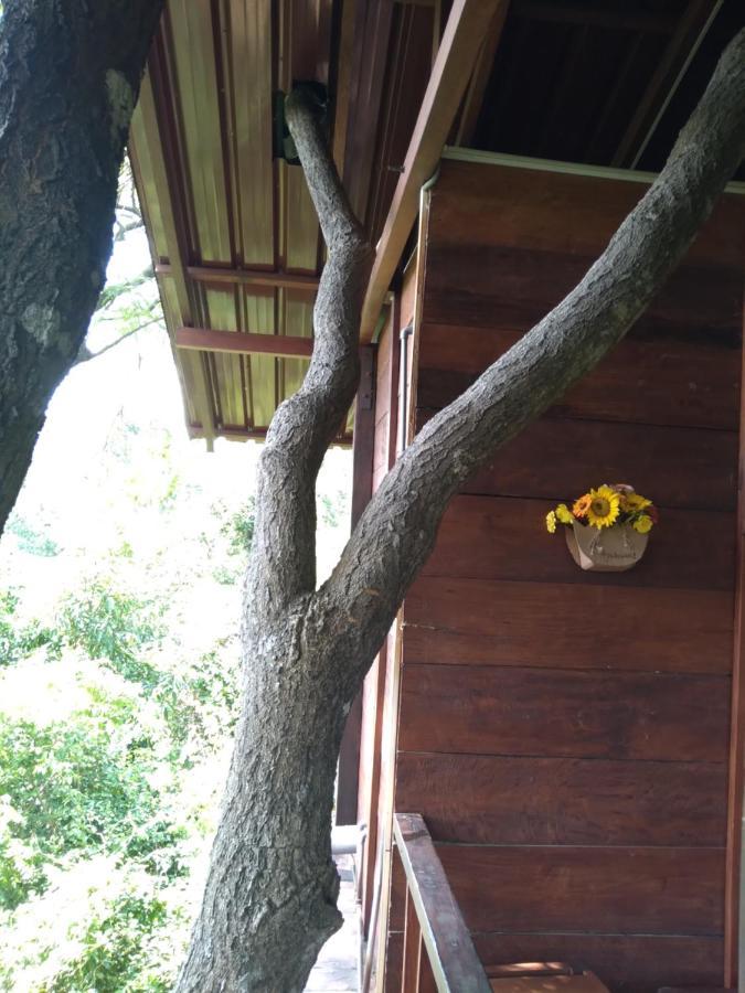 Dambulla Tree House Villa Luaran gambar