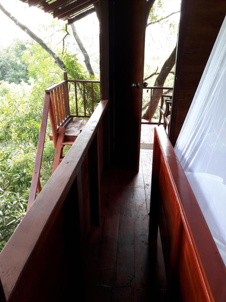 Dambulla Tree House Villa Luaran gambar