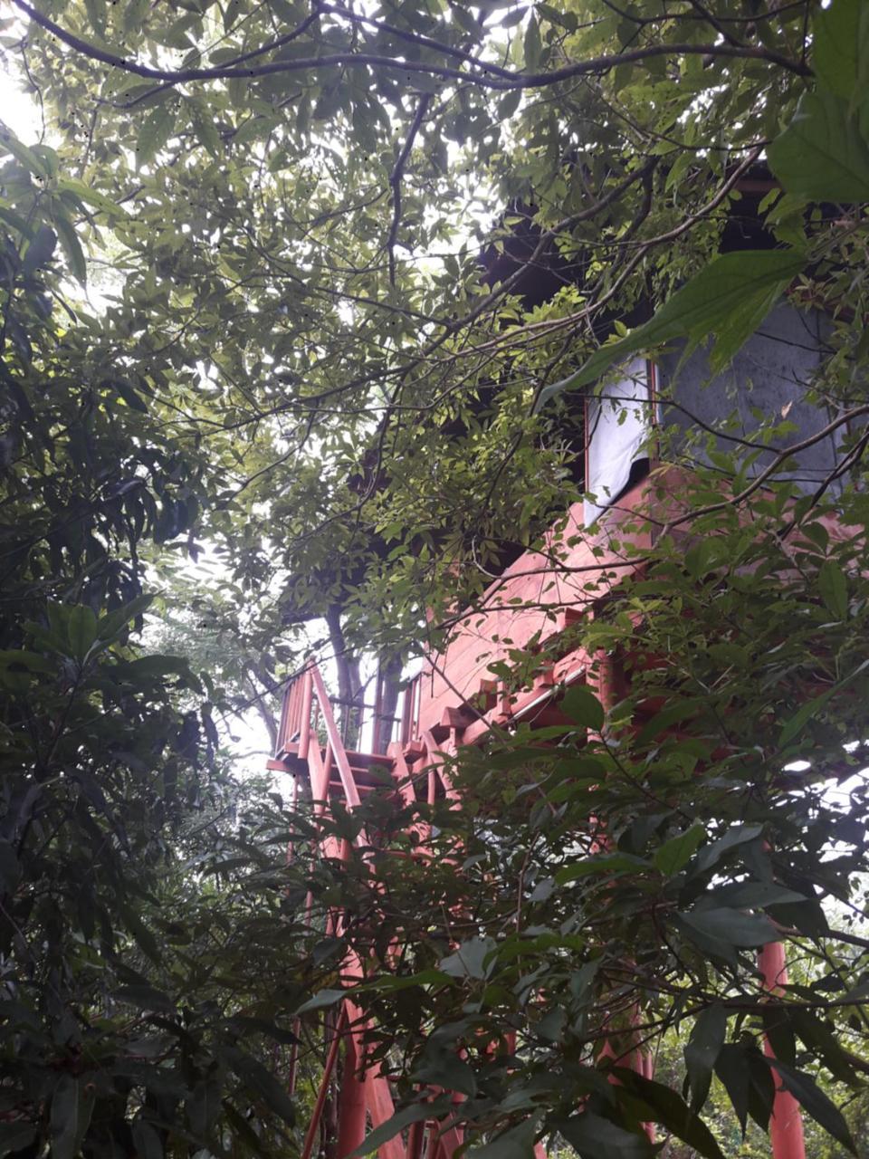 Dambulla Tree House Villa Luaran gambar