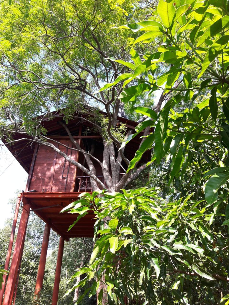 Dambulla Tree House Villa Luaran gambar