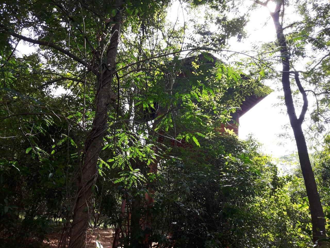 Dambulla Tree House Villa Luaran gambar